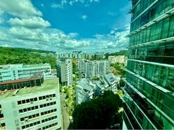 Hillview Regency (D23), Condominium #512820771